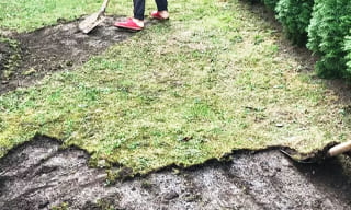 Снятие дерна старого газона в Ноябрьске – от 523 руб. | 2Землекопа-Нбс